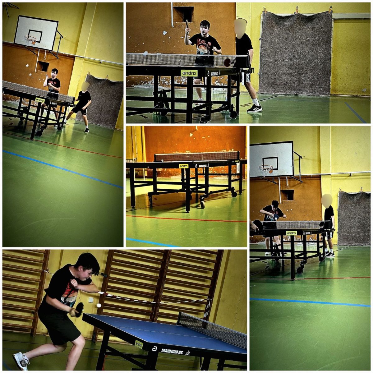 Mein Hobby: Tischtennis – schnell, spannend und für jeden geeignet