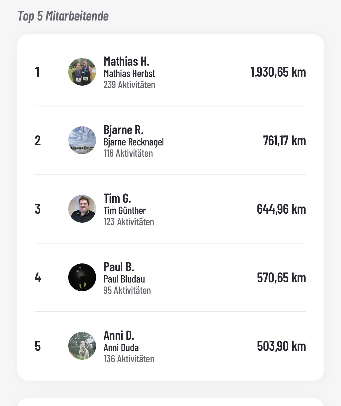 Auswertung Run Germany